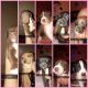 Labrador Retriever Puppies for sale in Phoenix, AZ 85025, USA. price: NA