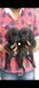Labrador Husky Puppies for sale in Uttam Nagar West, Uttam Nagar, Delhi, 110059, India. price: 12000 INR