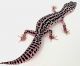 Leopard Gecko Reptiles for sale in Smyrna, GA, USA. price: $300