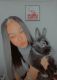 Lionhead rabbit Rabbits for sale in Baltimore, MD, USA. price: $150