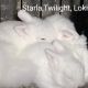 Lionhead rabbit Rabbits for sale in Lewisville, TX, USA. price: $85