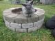 Lionhead rabbit Rabbits for sale in Millersburg, OH 44654, USA. price: $20