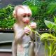 Macaque Animals for sale in Chicago, IL, USA. price: $1,900