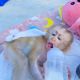 Macaque Animals for sale in Chicago, IL, USA. price: $2,000