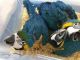 Macaw Birds for sale in Baton Rouge, SC 29706, USA. price: NA