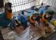 Macaw Birds for sale in Green Bay, WI, USA. price: $750
