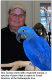 Macaw Birds for sale in Indianapolis, IN, USA. price: NA