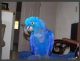 Macaw Birds for sale in Bakersfield, VT, USA. price: $2,000