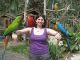Macaw Birds for sale in Concord, CA, USA. price: $120