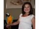 Macaw Birds for sale in Altheimer, AR 72004, USA. price: NA