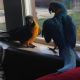 Macaw Birds for sale in Vancouver, BC, Canada. price: $500