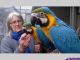 Macaw Birds for sale in Washington, DC, USA. price: NA