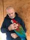 Macaw Birds for sale in Columbus, OH, USA. price: NA