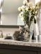 Maine Coon Cats for sale in Chicago, IL, USA. price: $1,600