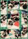 Mal-Shi Puppies for sale in Paso Robles, CA 93446, USA. price: NA