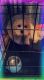 Maltese Puppies for sale in East Irondequoit, Irondequoit, NY, USA. price: $750