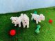 Maltese Puppies for sale in Calder Dr, League City, TX, USA. price: $450