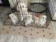 Maltese Puppies for sale in Mt Morris Township, MI, USA. price: NA