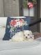 Maltese Puppies for sale in Thibodaux, LA 70301, USA. price: $1,600