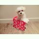 Maltese Puppies for sale in Basalt, Idaho. price: $500