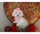 Maltese Puppies for sale in Port St Lucie, FL, USA. price: $300
