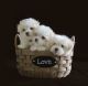 Maltese Puppies for sale in Greensboro, NC, USA. price: $1,550