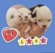 Maltese Puppies for sale in 4149 NE 21st Ct, Homestead, FL 33033, USA. price: NA