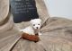 Maltese Puppies for sale in Michigan - Martin, Detroit, MI 48210, USA. price: $800