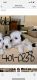 Maltipoo Puppies for sale in Bakersfield, CA, USA. price: $1,500