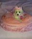 Maltipoo Puppies for sale in Van Nuys, Los Angeles, CA, USA. price: $1,300