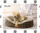 Maltipoo Puppies for sale in Ocala, FL, USA. price: $1,500
