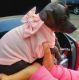 Mexican Hairless Puppies for sale in San Francisco, CA, USA. price: $2,400