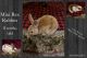 Mini Rex Rabbits for sale in Englewood, OH, USA. price: NA