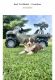 Miniature Australian Shepherd Puppies for sale in Roanoke, VA, USA. price: $1,250