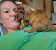 Miniature Dachshund Puppies for sale in Sterling, IL 61081, USA. price: $2,500