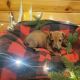 Miniature Dachshund Puppies for sale in WI-29, Withee, WI, USA. price: $900