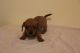 Miniature Dachshund Puppies for sale in Colorado Springs, CO, USA. price: $500