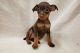 Miniature Pinscher Puppies for sale in Hartford, CT 06104, USA. price: NA