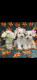 Miniature Schnauzer Puppies for sale in Dodge City, KS 67801, USA. price: $450