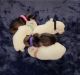 Miniature Schnauzer Puppies for sale in Dallas, TX, USA. price: $800