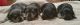 Miniature Schnauzer Puppies for sale in Onaway, MI 49765, USA. price: NA
