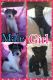 Miniature Schnauzer Puppies for sale in Nauvoo, AL 35578, USA. price: NA
