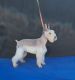 Miniature Schnauzer Puppies for sale in San Bernardino, CA 92411, USA. price: $1,500