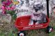 Miniature Schnauzer Puppies for sale in Vernal, UT 84078, USA. price: NA