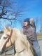 Missouri Fox Trotter Horses for sale in Mishawaka, IN, USA. price: NA
