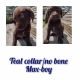 Mixed Puppies for sale in Centre, AL 35960, USA. price: NA