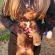 Mixed Puppies for sale in Indiahoma, OK 73552, USA. price: NA