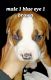 Mixed Puppies for sale in Detroit, MI 48218, USA. price: NA