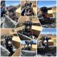 Mixed Puppies for sale in Apple Valley, CA, USA. price: $50