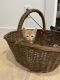 Mixed Cats for sale in Vancouver, WA, USA. price: $100